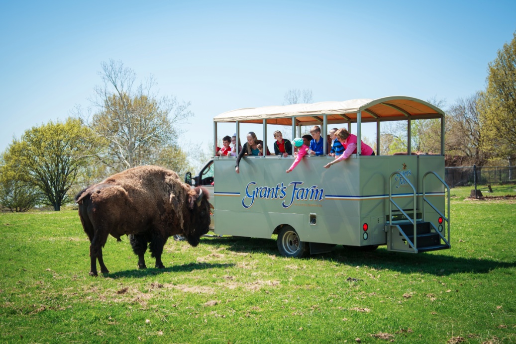Grant’s Farm Celebrates 60th Anniversary with New Attractions