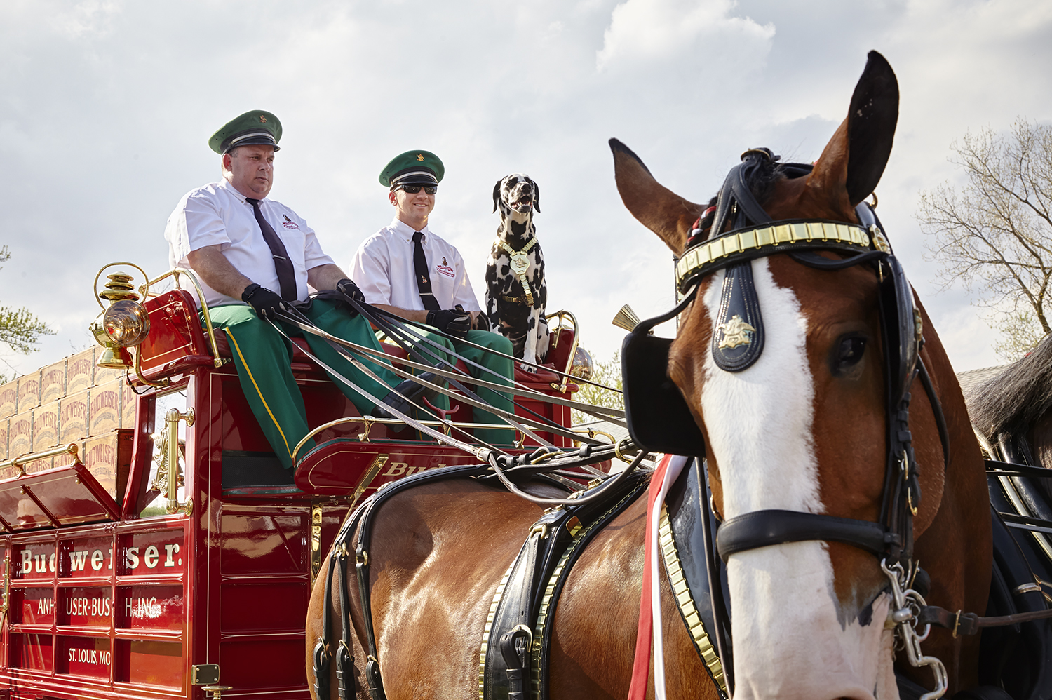 Grant’s Farm Guests at Opening for 61st Season
