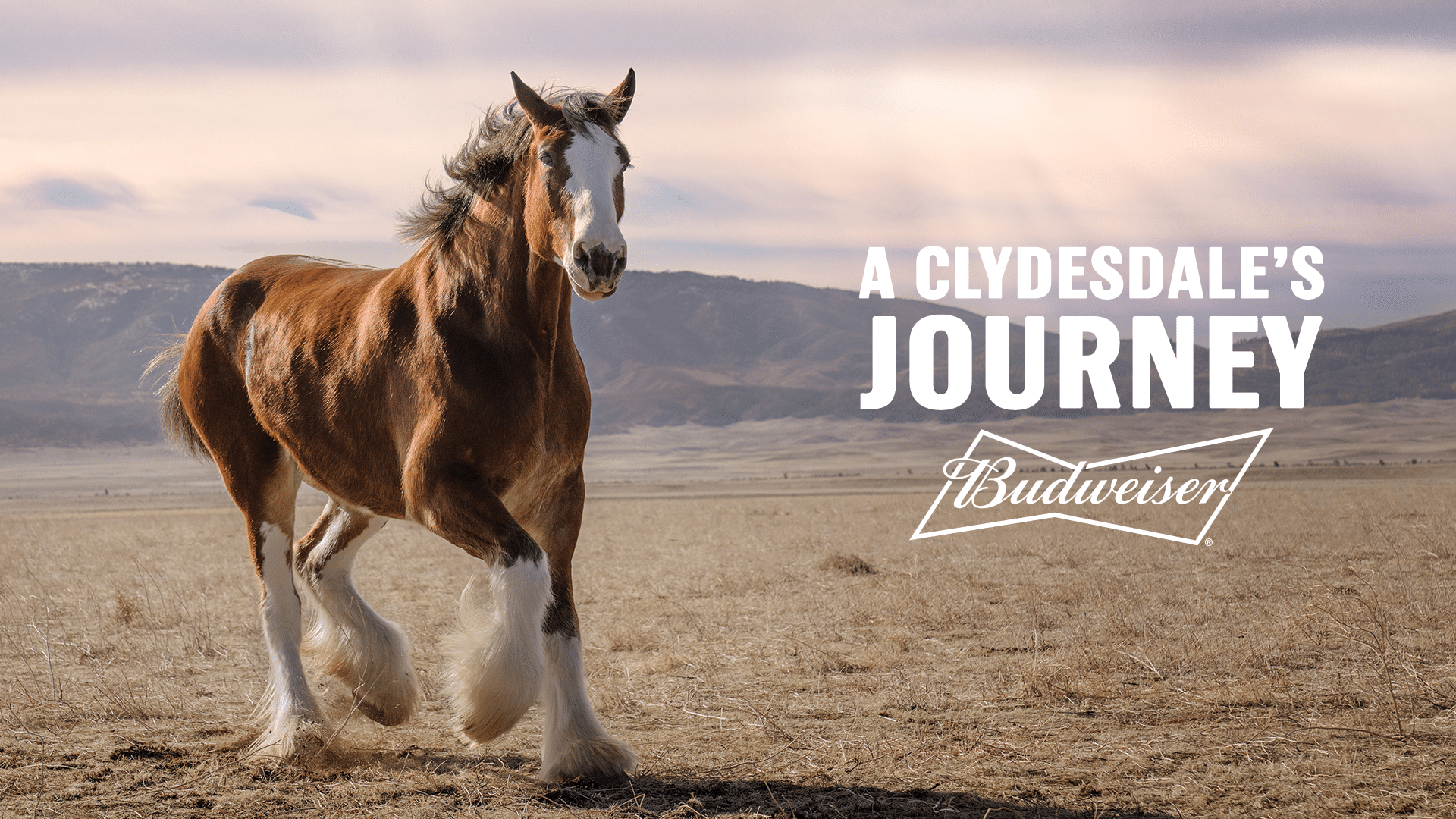 Budweiser Makes Powerful Super Bowl Comeback with a Message of American